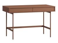 Письменный стол Эрлин-2 120x60 Терракотовый
