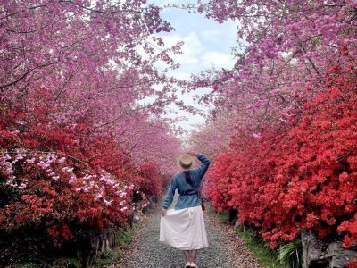 НОТК ищет активных блогеров для поездки в Южную Корею