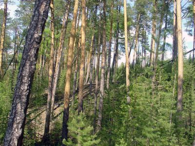 Святилище Торум-Пах-Катым-Ай-Пим-Тор