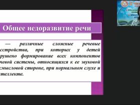 Вебинар "Логопедагогика: теоретические основы сформированности языковых средств общения у детей с общим недоразвитием речи"