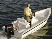 2х-тактный лодочный мотор TOHATSU M 50 D2 EPTOL