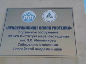 В Якутске начался эксперимент по длительному хранению продуктов в криохранилище