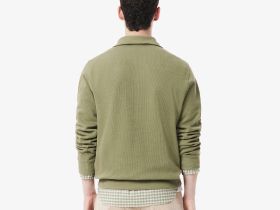 Мужская толстовка Lacoste на молнии с высоким воротом