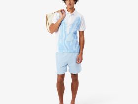 Мужское хлопковое поло Lacoste