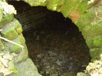 Родовой некрополь Сатиных