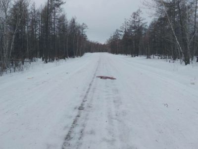 Тело мужчины обнаружили на автодороге в Мегино-Кангаласском районе