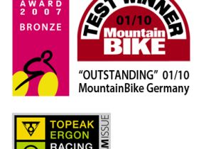 Насос напольный Topeak JoeBlow Ace gnn (серебристый)