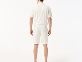 Мужские шорты Lacoste из хлопка