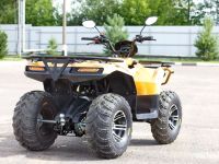 Квадроцикл IRBIS ATV 200