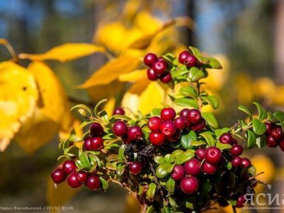 Народные приметы на 5 сентября 2023 года: что нельзя делать в этот день