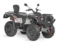 Квадроцикл BALTMOTORS Striker 700 EFI (ПСМ)