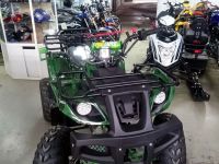 Квадроцикл ATV Avenger Evo