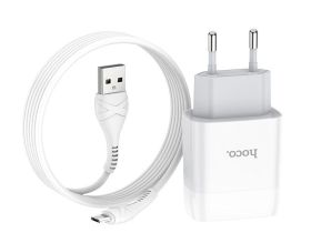 Сетевое зарядное устройство Hoco (C73A) Charger Set 2xUSB/2.4A + кабель Micro USB (белый)