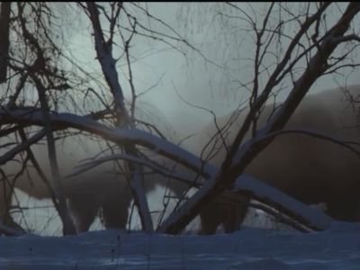 Закулисье «Быков холода»: как снимали кадры в пургу и спасали камеры от холода