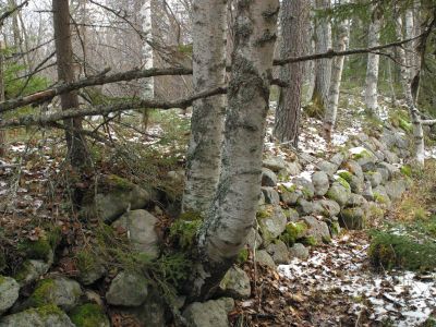 Малая дамба на оз. Красном