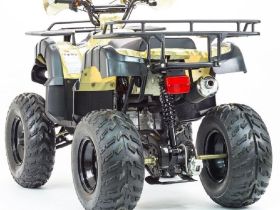 Квадроцикл STALKER 250