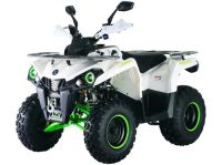 Квадроцикл MIKILON Hammer 200L