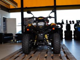 Квадроцикл СТЕЛС ATV 110A Hugo