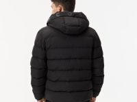 Мужской стёганый пуховик Lacoste с капюшоном