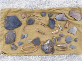 Редкая находка: в Якутии обнаружен наконечник древнего гарпуна