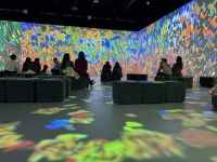 Центр цифрового искусства Artplay Media г. Казани