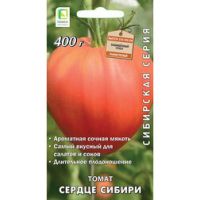 Томат Сердце Сибири (Сибирская серия)
