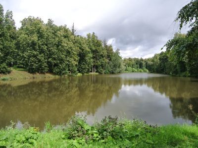 Усадьба "Загорье"