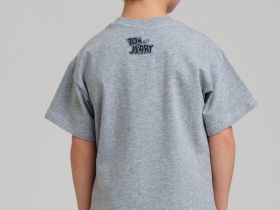 Фуфайка трикотажная для мальчиков (футболка)