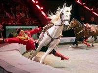 Большой Московский государственный цирк на проспекте Вернадского