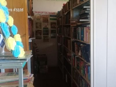 Седяшская сельская библиотека