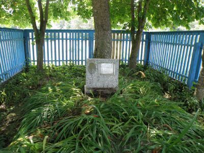 Могила партизан Голоколосовой и Андрейчук, расстрелянных фашистами