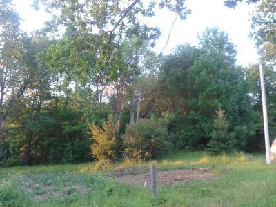 Усадьба С.Н. Сыромятникова. Парк