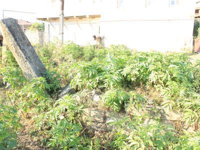 Могила шейха Исмаила