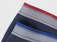 Трусы-брифы, 2 шт., Синий