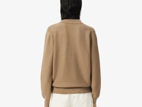 Мужской свитер Lacoste