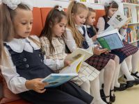 Новотырышкинская сельская библиотека