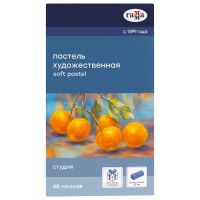 Набор пастели сухая Гамма "Студия", 48 цветов, 1/2 длины, картон. упаковка