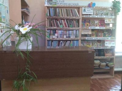 Хохол-Тростянская сельская библиотека