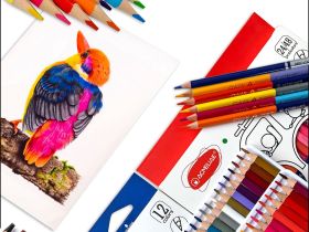 Набор цветных карандашей укороченных трехгранных Acmeliae 12 цв, в картонном футляре