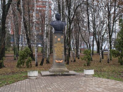 Бюст дважды Героя Советского Союза А.Е.Боровых