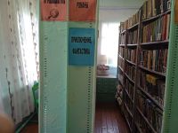 Тесинская поселенческая библиотека
