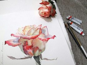 Набор акварели ShinHanart PRO 30 цв*7,5 мл