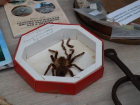 В Якутске впервые стартовали Дни национального парка «Ленские столбы»