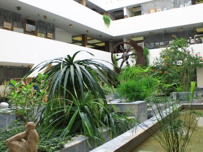 Донская государственная публичная библиотека