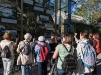 Музей «Сарай Н. А. Емельянова»