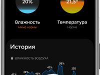 SBDV-00079 белый