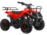 Квадроцикл TIGER Mini 49 (2024)