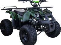 Квадроцикл RAPTOR 8 ATV125U Classic 125CC 4Т