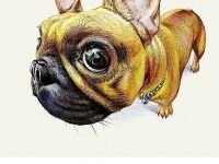 Набор карандашей цветные ACMELIAE "Skin Artmate" телесные 12 цв. в картонном футляре