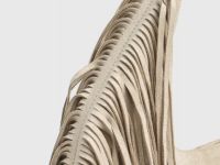 Сумка, Бежевый